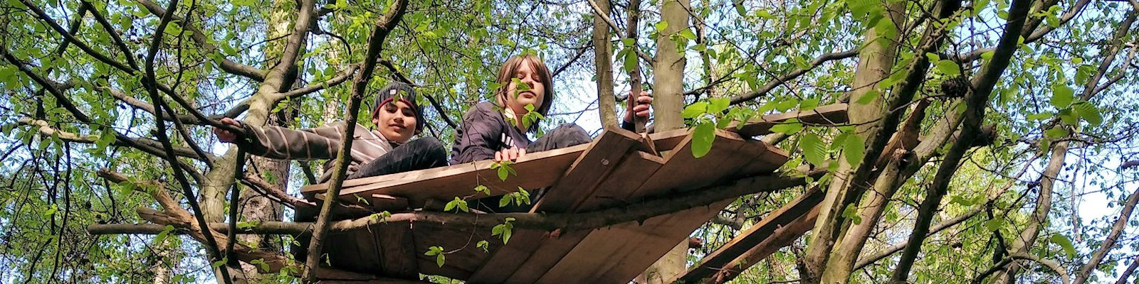 Přirozené učení